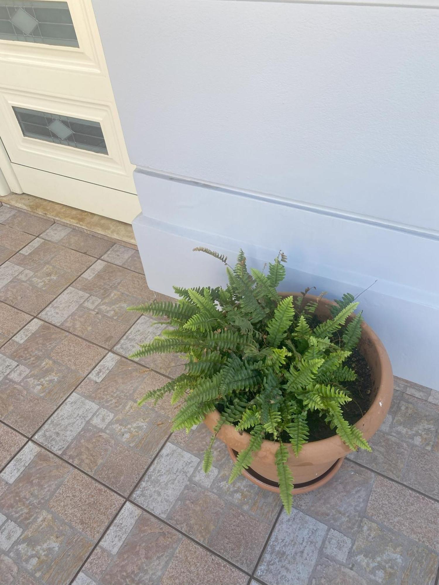 New Unique Apartment In Heraklion Extérieur photo