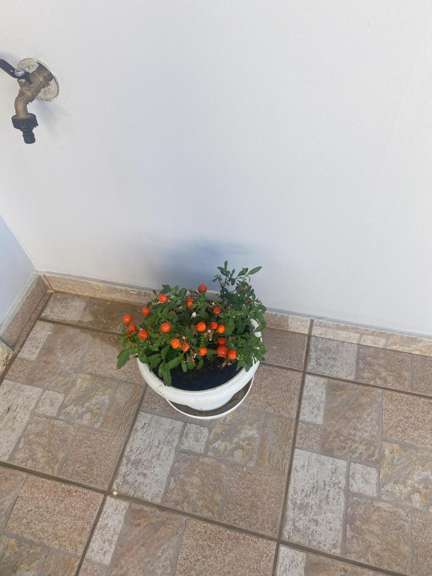 New Unique Apartment In Heraklion Extérieur photo