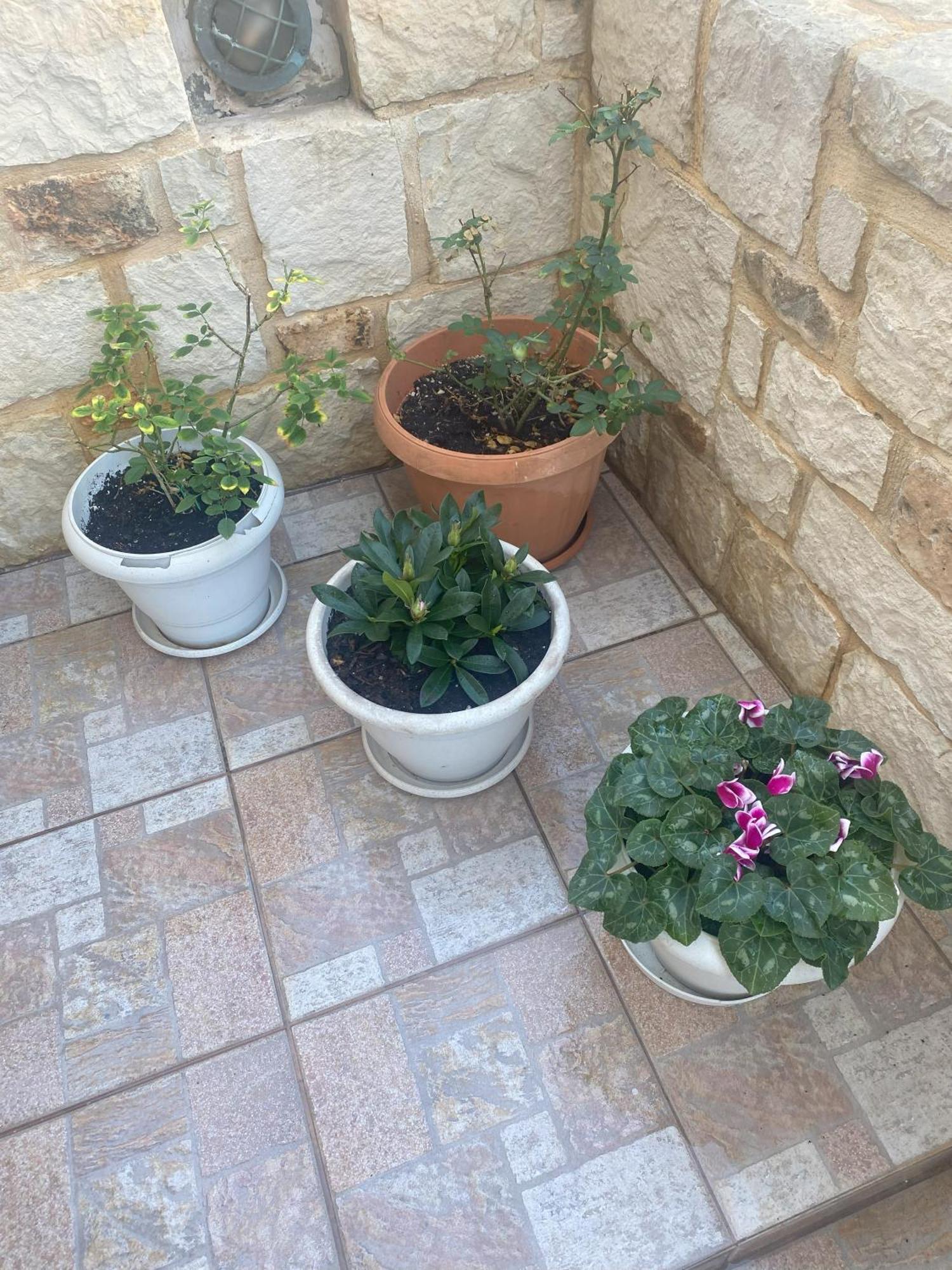 New Unique Apartment In Heraklion Extérieur photo